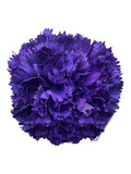 Ramillete clavel morado - Lunares del Este